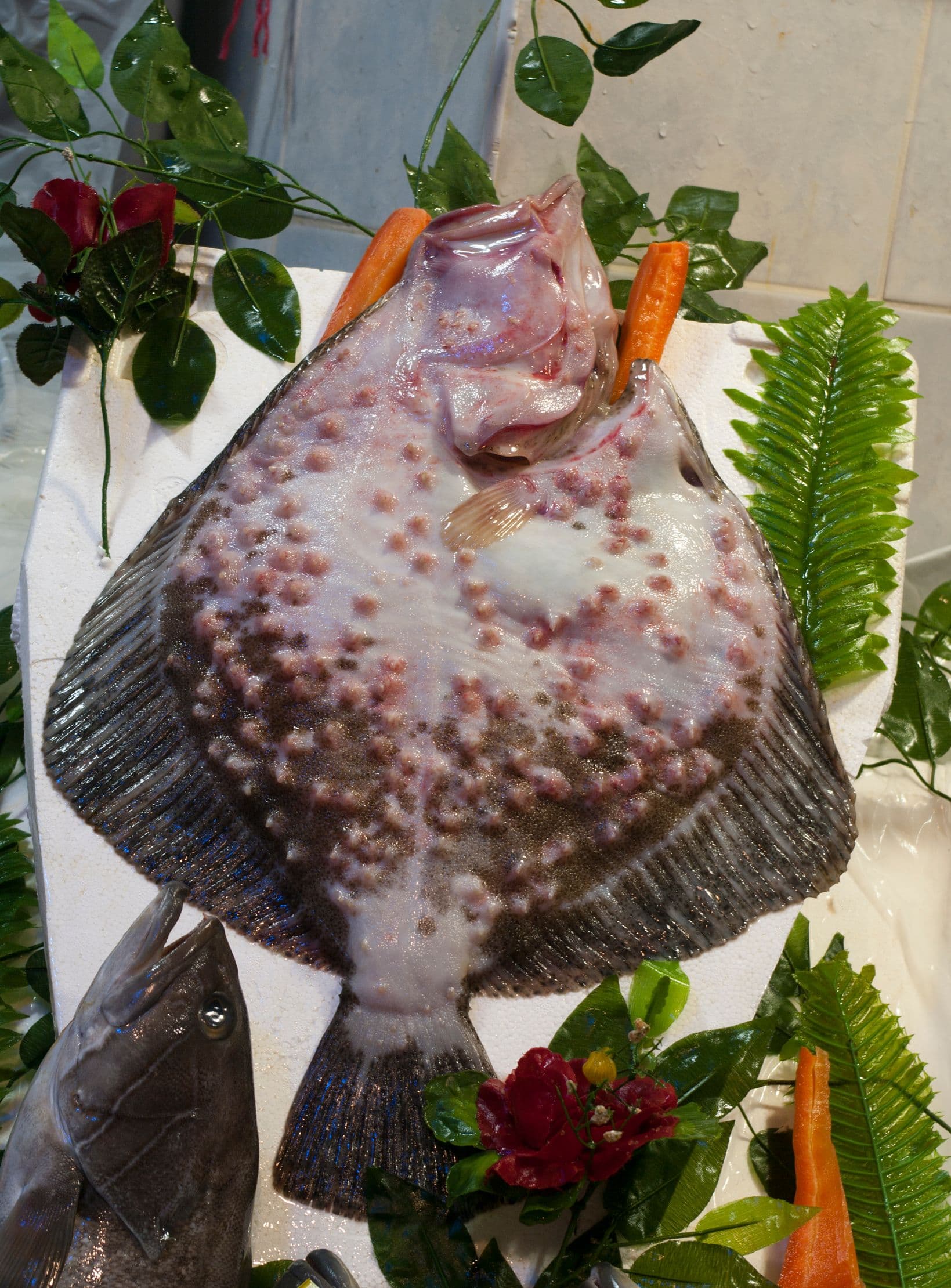 Kalkan Buğulama