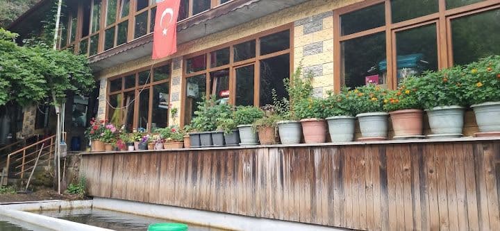 Can Alabalık