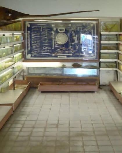 Türkiye Deniz Canlıları Müzesi