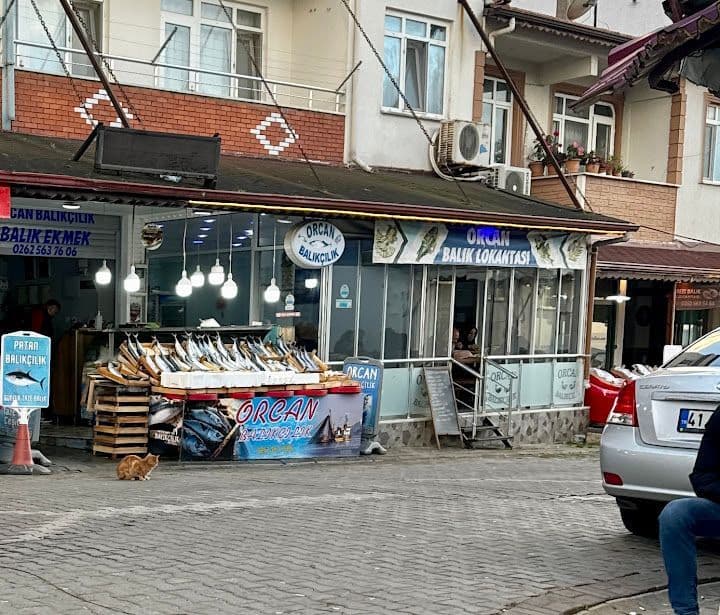 Orcan Balıkçılık